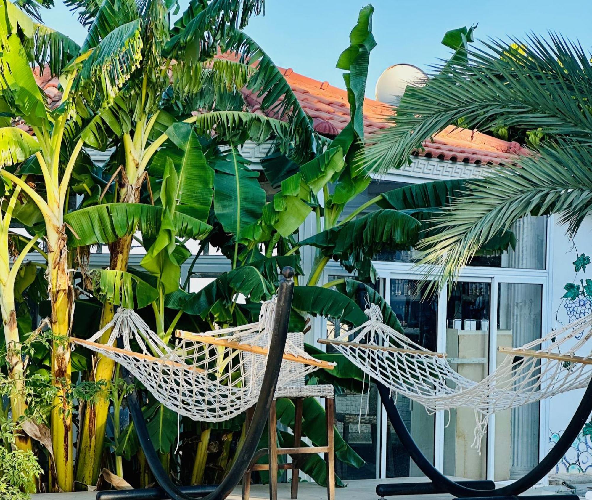 Celebi Garden Hotel - Cittaslow Retreat Famagusta  Eksteriør billede