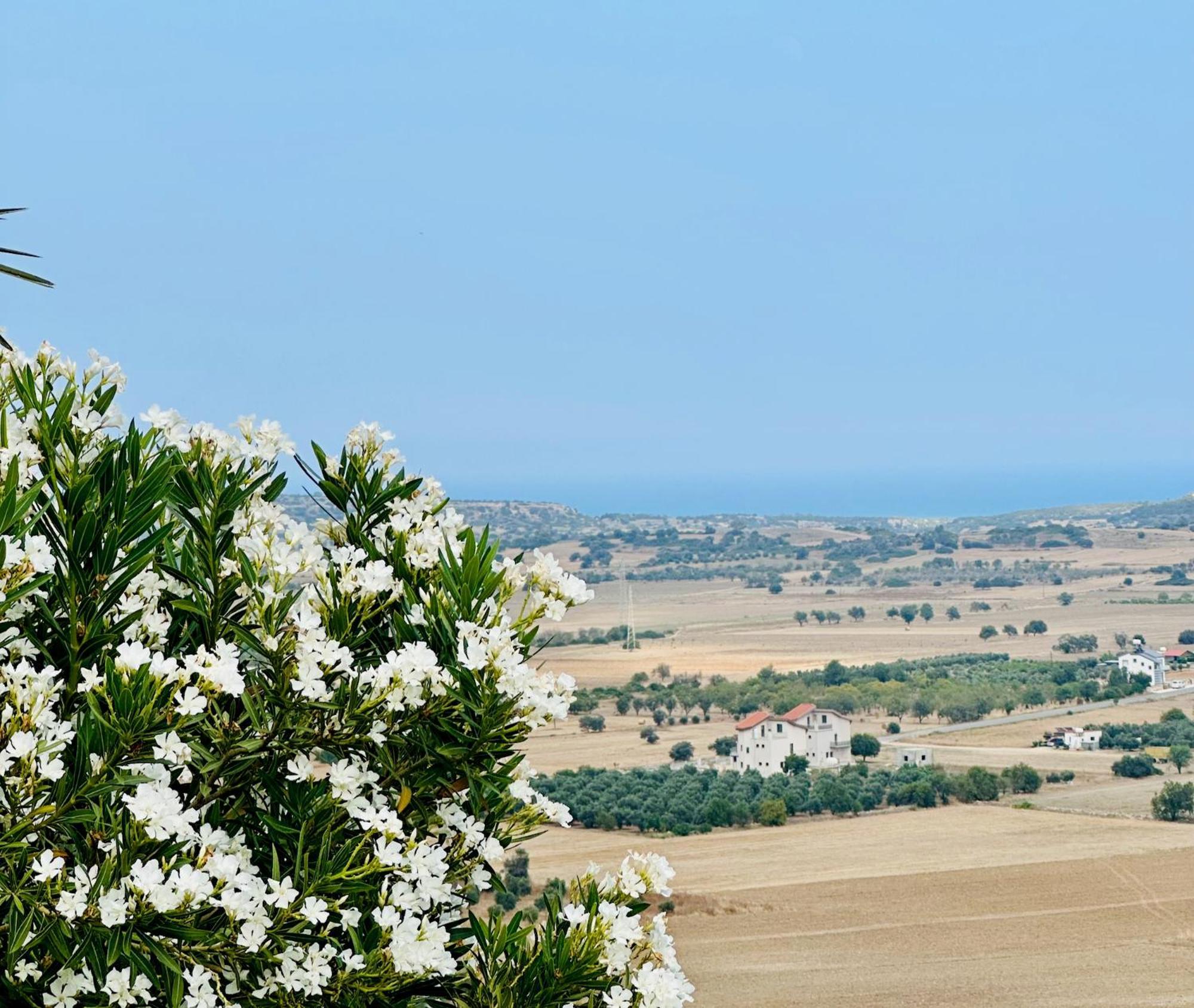Celebi Garden Hotel - Cittaslow Retreat Famagusta  Eksteriør billede