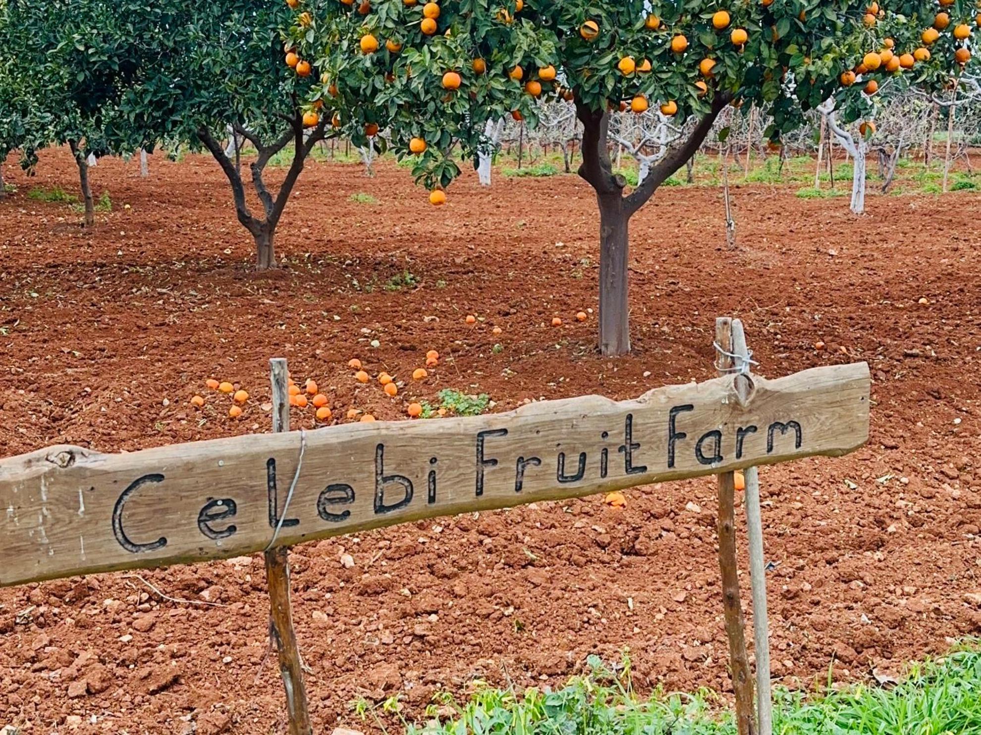 Celebi Garden Hotel - Cittaslow Retreat Famagusta  Eksteriør billede