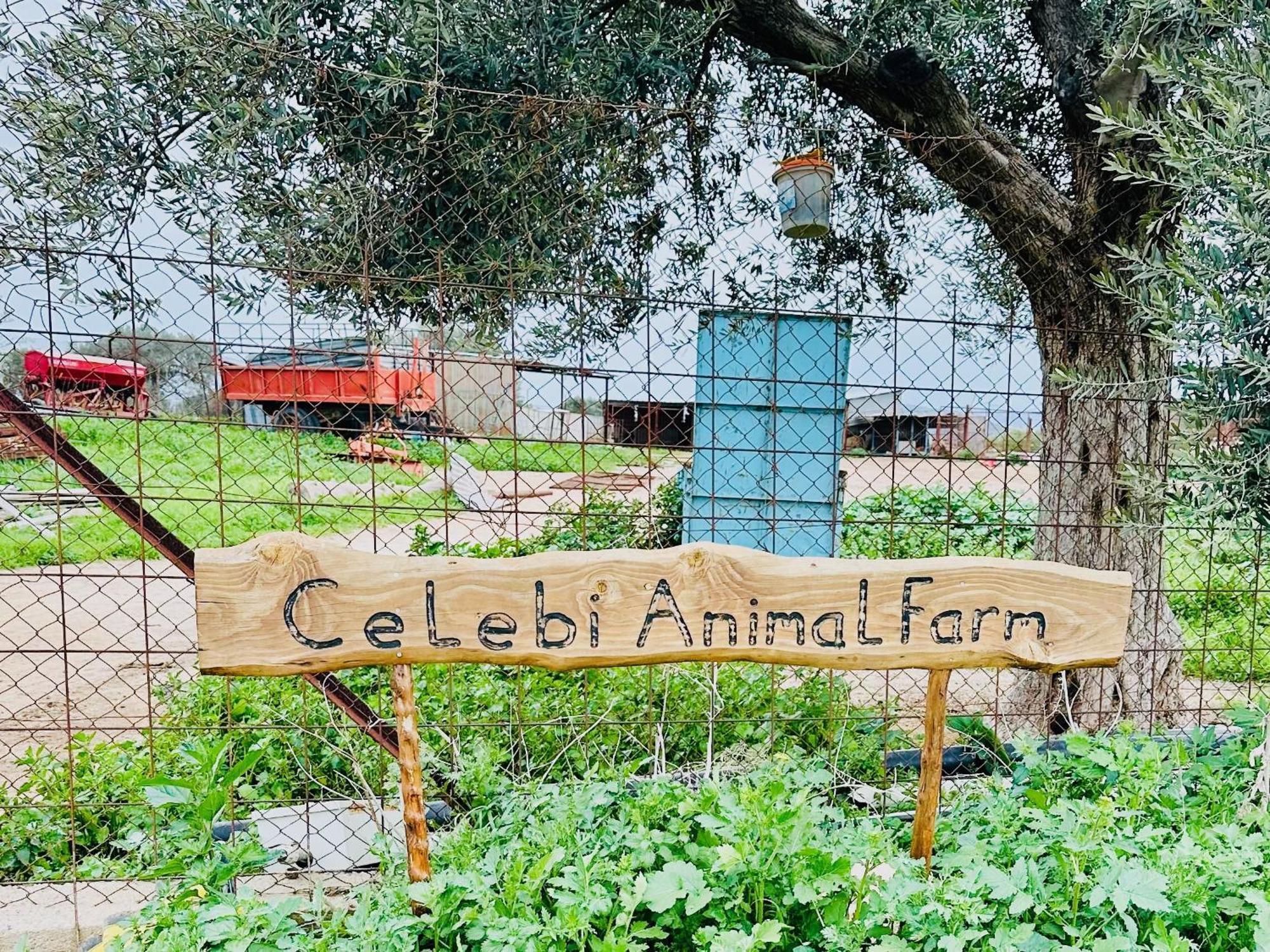 Celebi Garden Hotel - Cittaslow Retreat Famagusta  Eksteriør billede