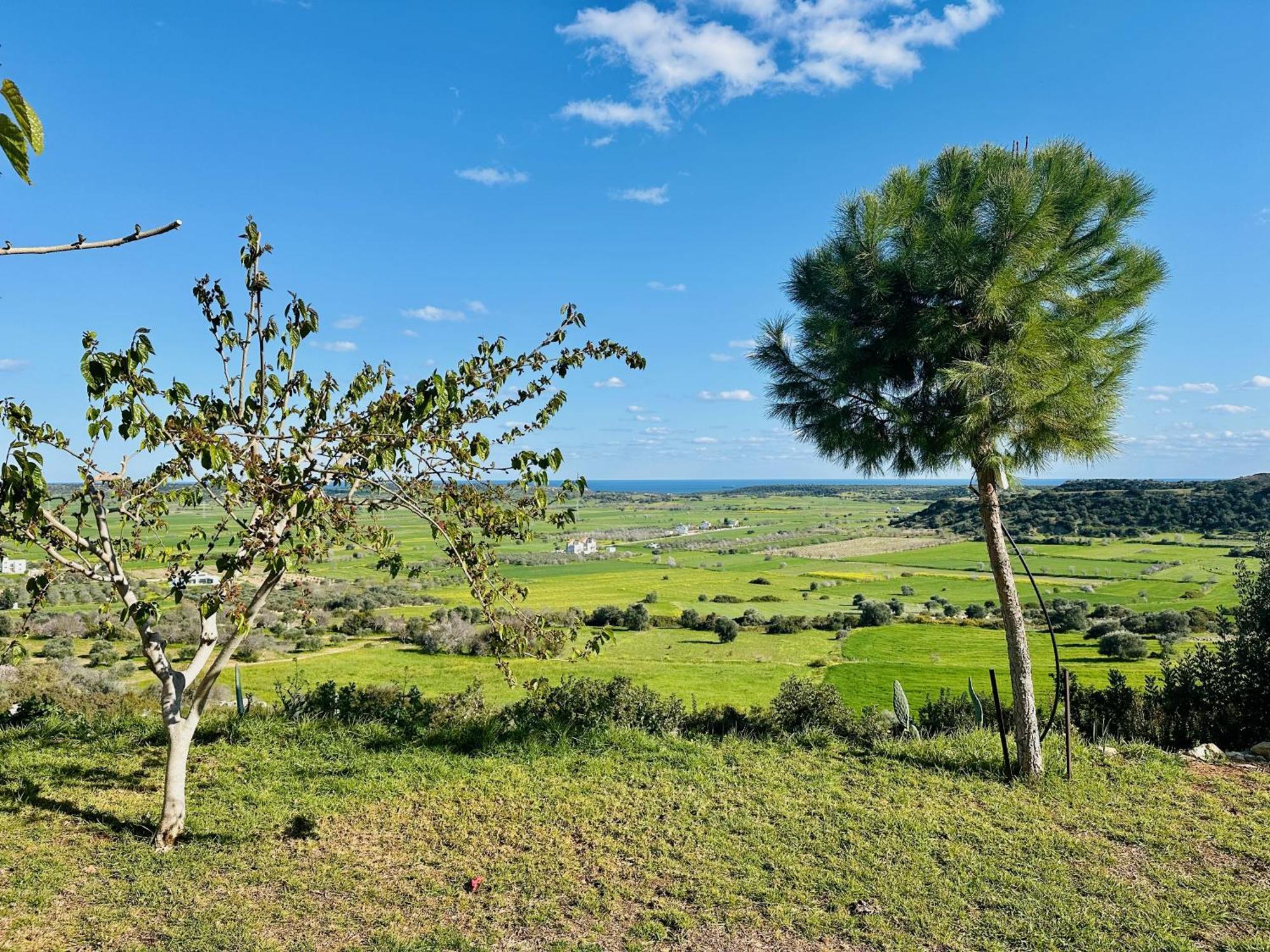 Celebi Garden Hotel - Cittaslow Retreat Famagusta  Eksteriør billede